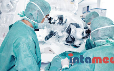 Intamarket Group case study.